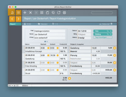 Screenshot Modul Report